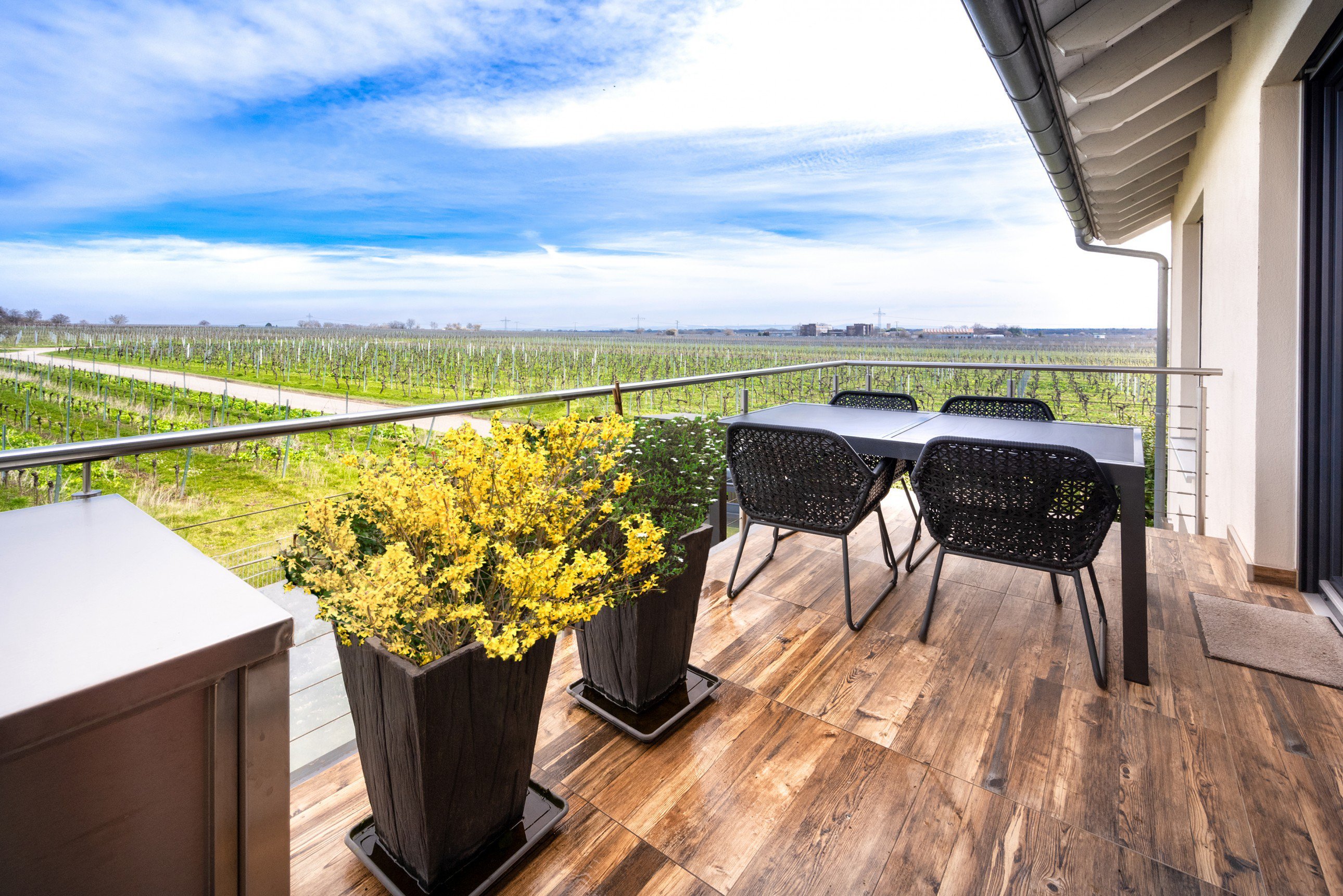 Foto LUXURY mit Weinbergs-Traumblick