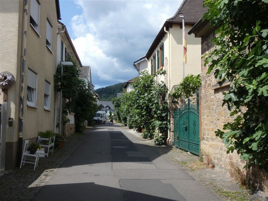 Wohnumfeld Einfamilienhaus Deidesheim