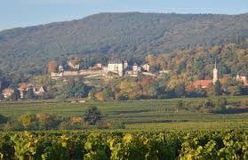 Blick auf das Haardter Schlo� Wohngrundst�ck Neustadt