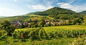 malerische Weinlandschaft Einfamilienhaus St. Martin