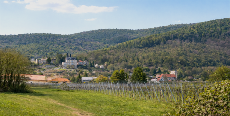 Rarit�t - Baugrundst�ck Neustadt Wohngrundst�ck VERKAUFT - Rarit�t - Baugrundst�ck am Weinberg mit Schlo�blick