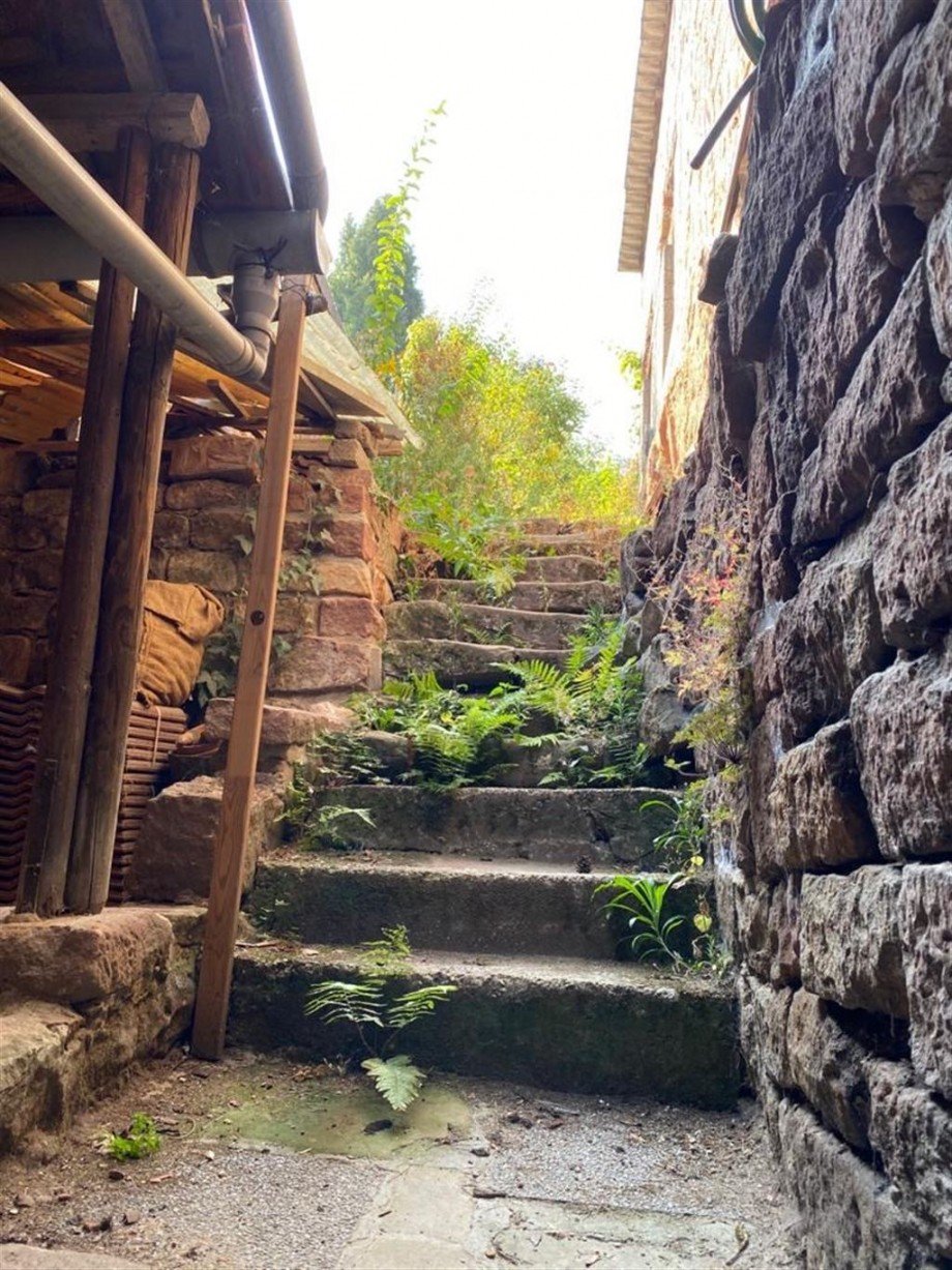 Zugang zum Garten Haus St Martin , Pfalz