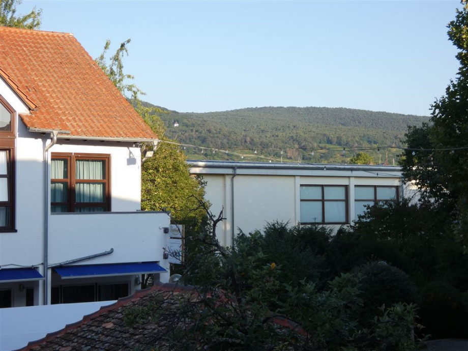 Westseite - Weitblick zum Pf�lzer Wald Etagenwohnung Deidesheim