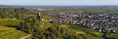 Weitblick von der Wachtenburg Einfamilienhaus Wachenheim an der Weinstra�e
