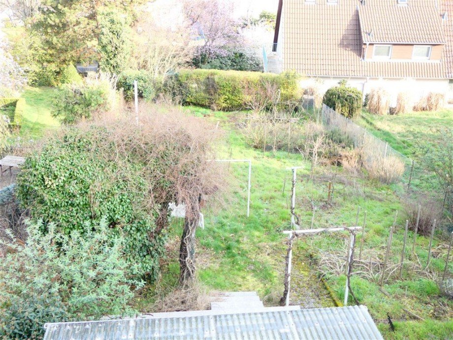 Blick in den Garten Einfamilienhaus Deidesheim