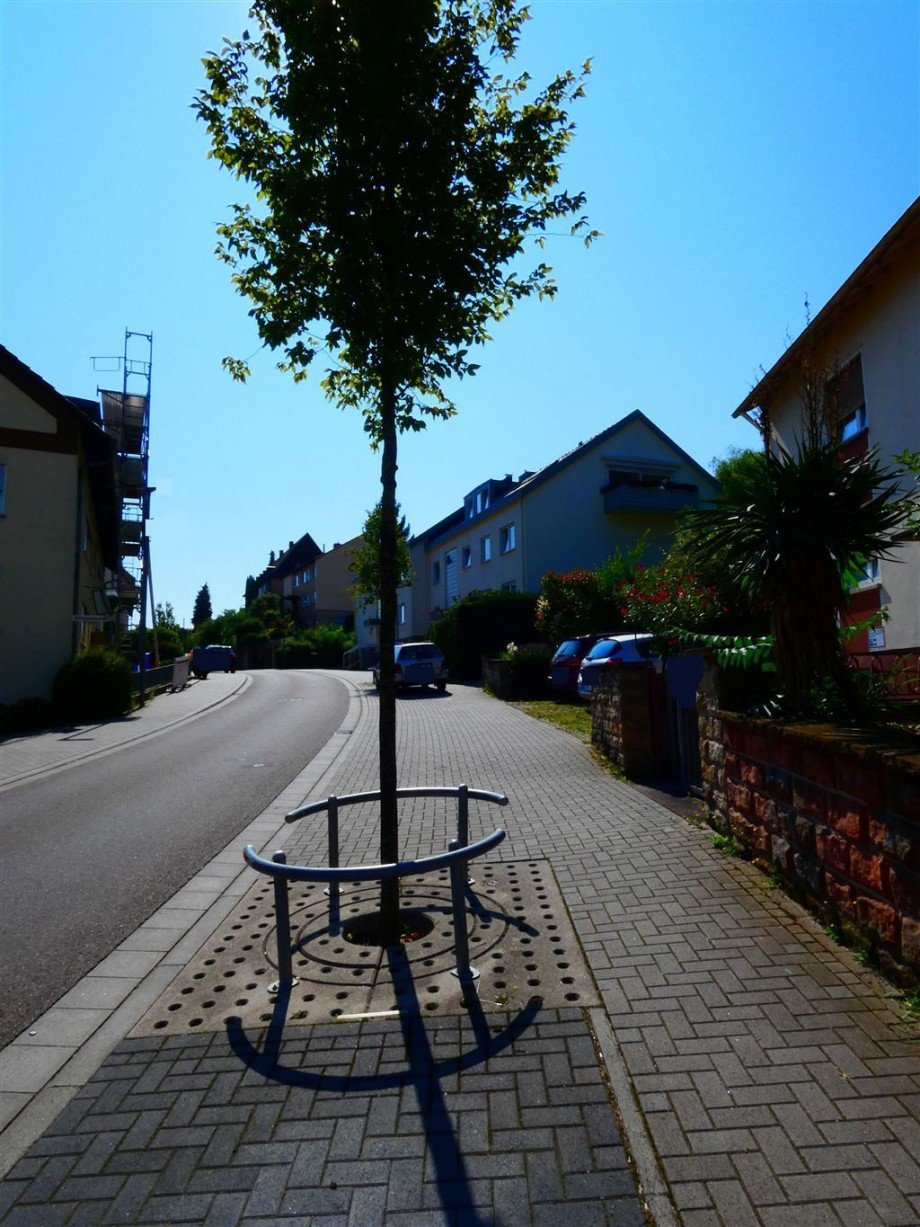 Gepflegtes Wohnumfeld Reihenendhaus Neustadt