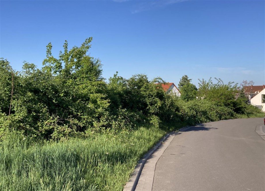 erschlossens Baugrundst�ck Haardt Wohngrundst�ck Neustadt