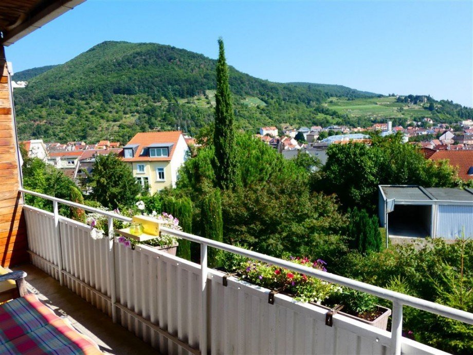 Blick vom Balkon 1. OG Reihenendhaus Neustadt