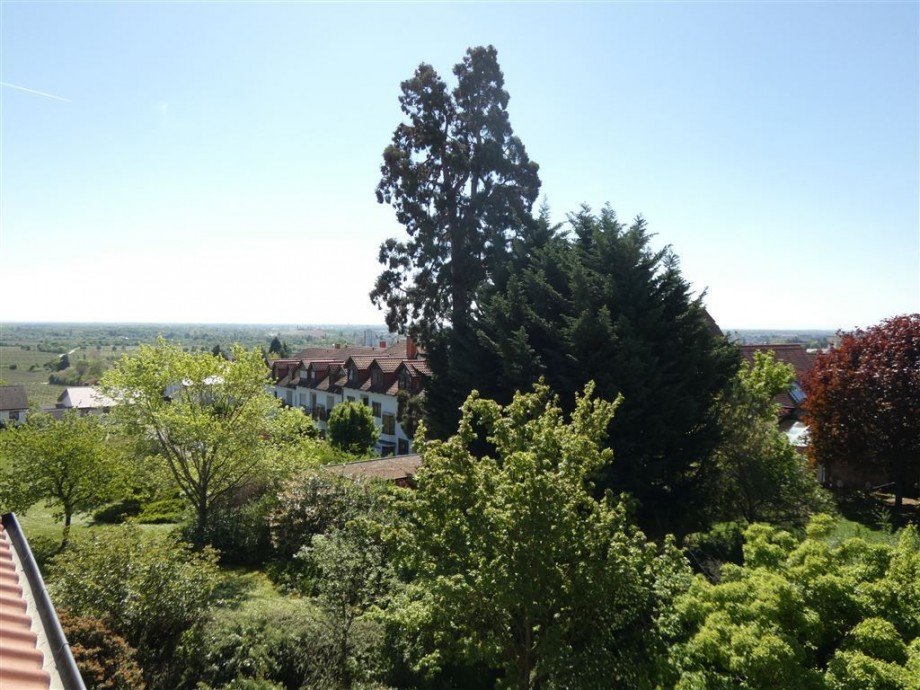 Weitblick Wohnung Neustadt