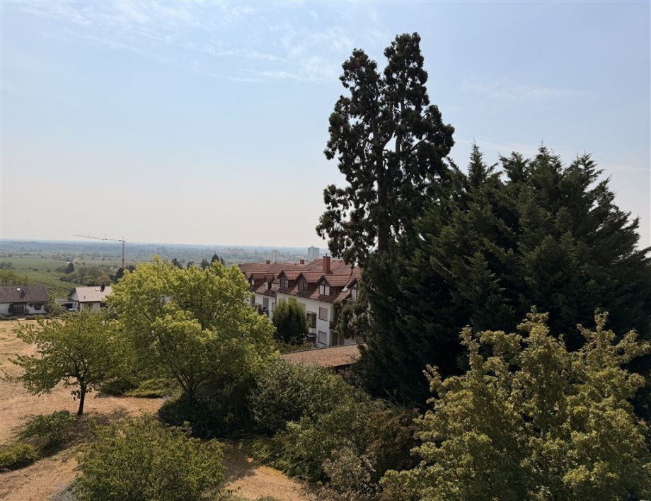 Weitblick Dachgeschosswohnung Neustadt