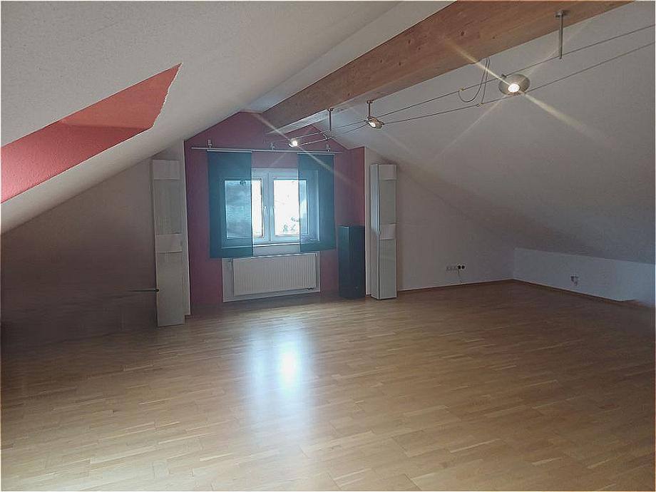 Dachstudio Einfamilienhaus Speyer