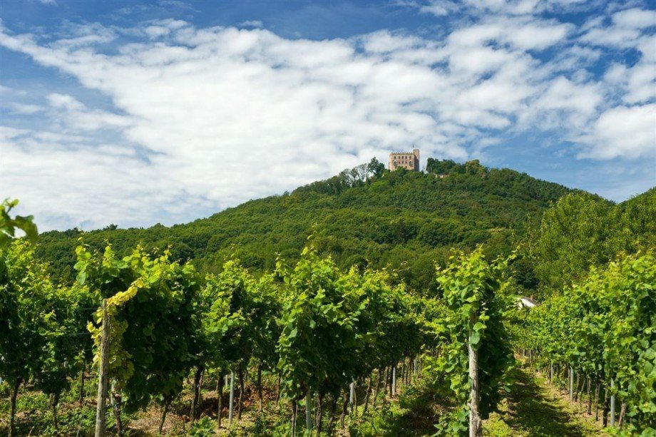 unterhalb des Hambacher Schlosses Wein und Wald Wohn- / Gesch�ftshaus Neustadt
