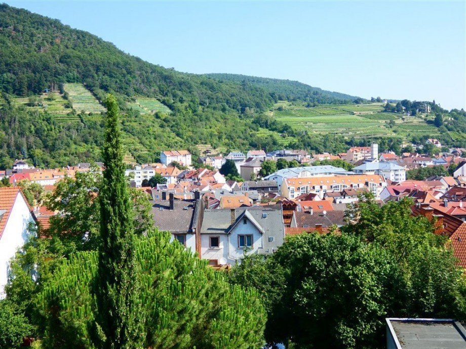 �ber den D�chern der Stadt Reihenendhaus Neustadt