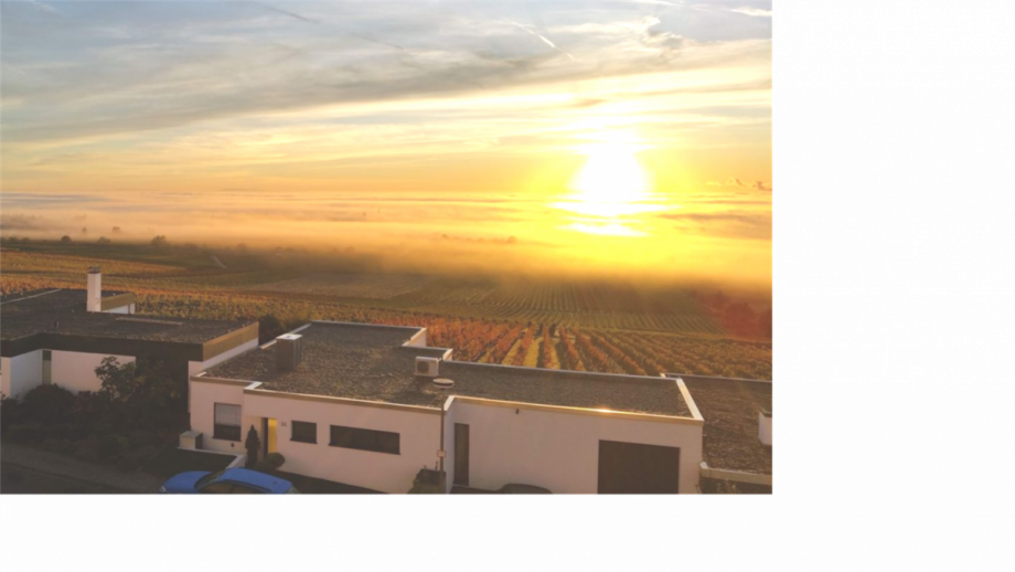 Sonnenaufgang - Blick vom Ostbalkon Etagenwohnung Neustadt