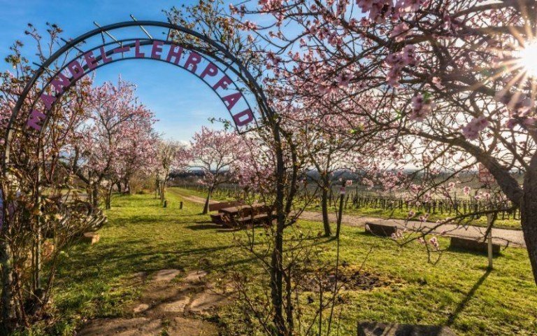 Wohnen inmitten der Weinberge und Pf�lzerwald Neustadt Wohngrundst�ck VERKAUFT - Wohnen im atmosp�rischen Gimmeldingen - Abrissimmobilie