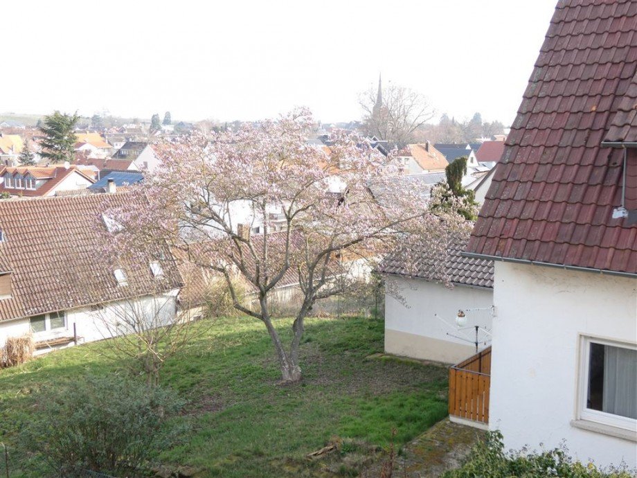 Blick �ber Deidesheim Einfamilienhaus Deidesheim