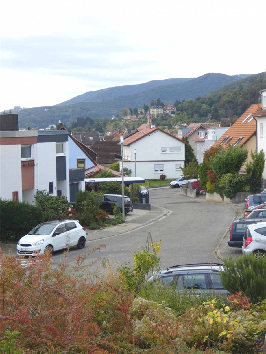 Blick Hambacher-Haardter Schloss Etagenwohnung Neustadt