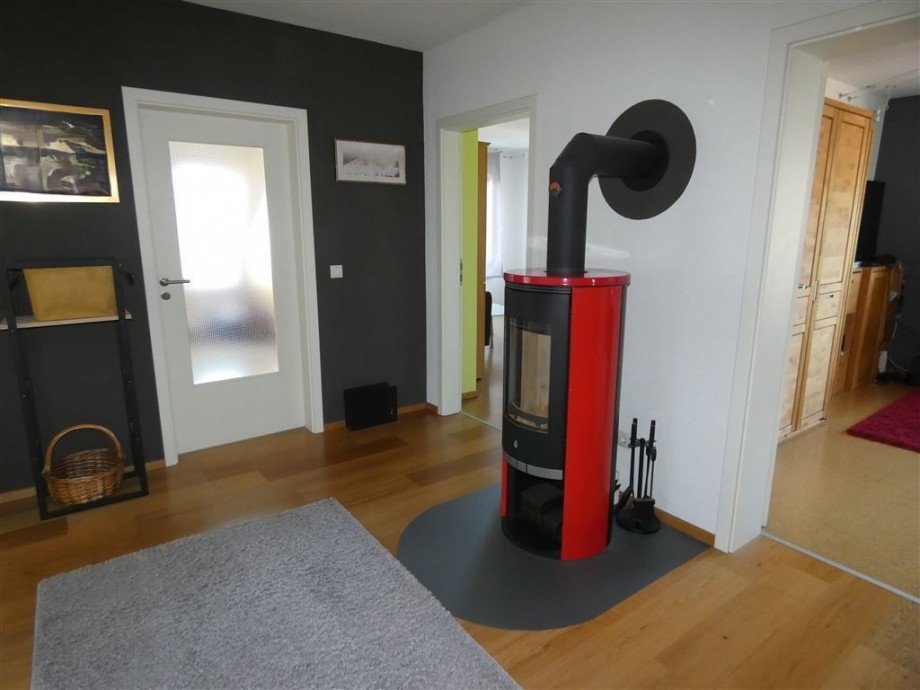 Festbrennstoffofen Einfamilienhaus Speyer