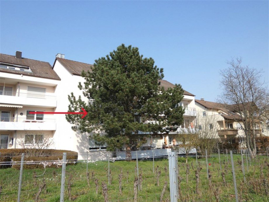 Wohnen an den Weinbergen Etagenwohnung Deidesheim