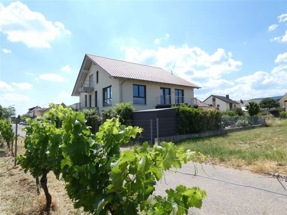 Wohnen inmitten der Weinberge Penthousewohnung Neustadt
