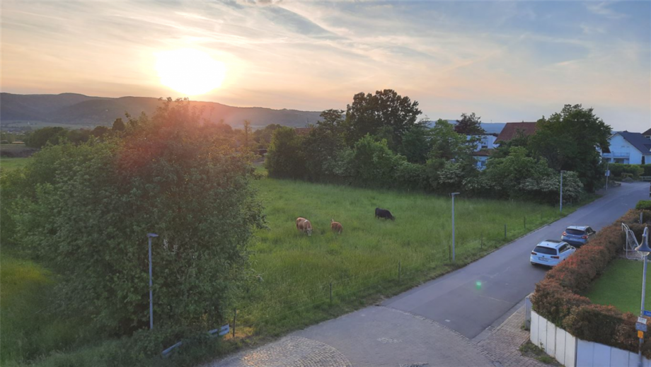 Sonnenuntergang auf dem Balkon Wohnung Niederkirchen b Deidesheim