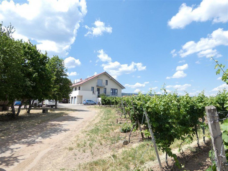 Atmosph�rische Lage Neustadt Penthousewohnung VERKAUFT-Traum-Weinbergsblick - Maisonette