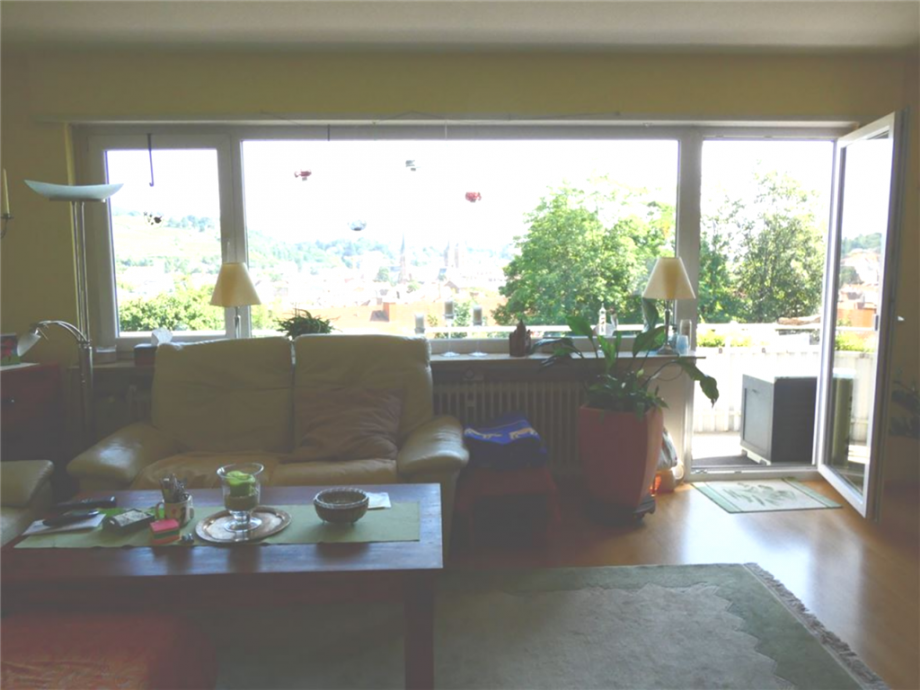 Panoramablick aus dem Wohnzimmer Reihenendhaus Neustadt