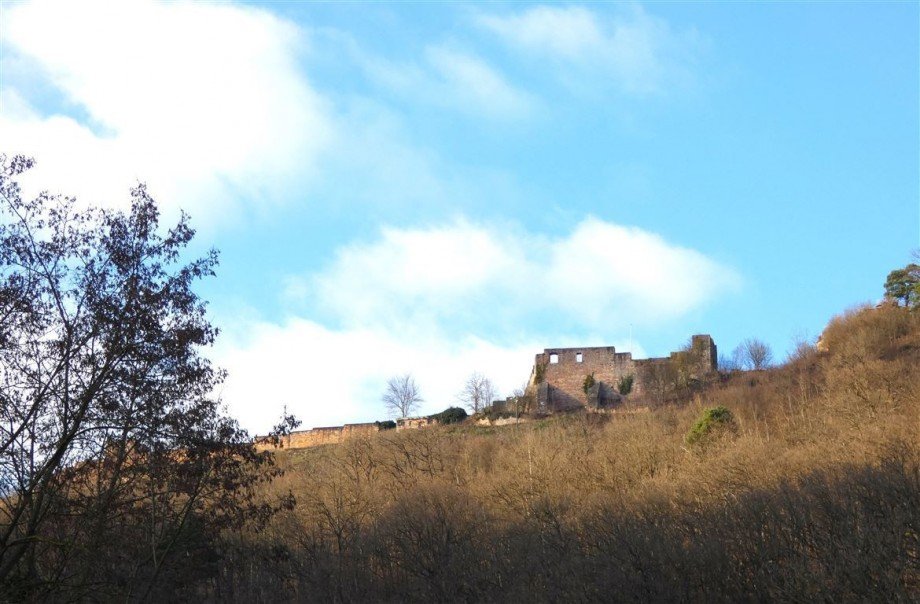 Blick zur Wolfsburg Etagenwohnung Neustadt