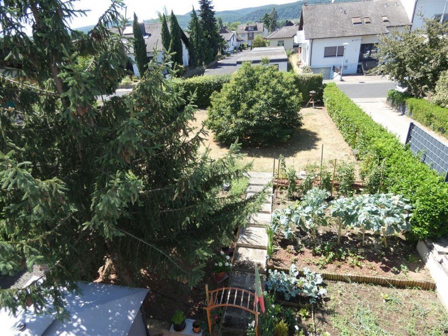 Gepflegter Garten-weiteres Baugrundst�ck Mehrfamilienhaus Deidesheim