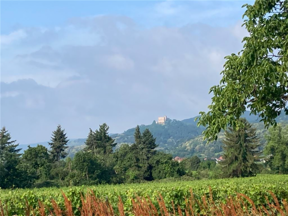Blick auf das Rebenmeer-Hambacher Schlo� Wohn- / Gesch�ftshaus Neustadt