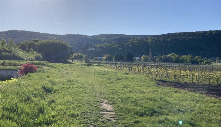 Blick westlich zum Haardter Schlo� Wohngrundst�ck Neustadt