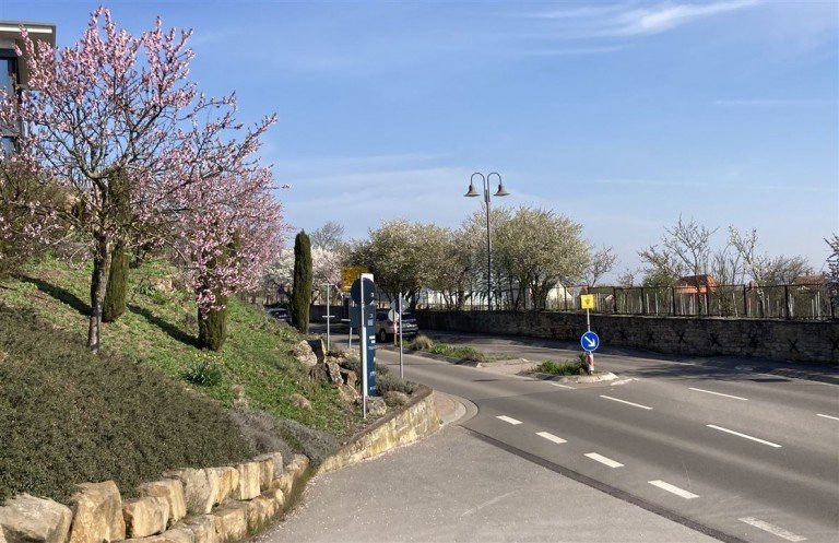 Atmosph�rischer Weinort Herxheim Herxheim am Berg Haus Zwei H�user mit Weinbergsblick - sanierungsbed. Schmuckst�ck