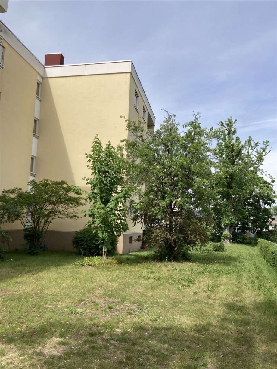 gepflegter Gartenbereich Etagenwohnung Neustadt