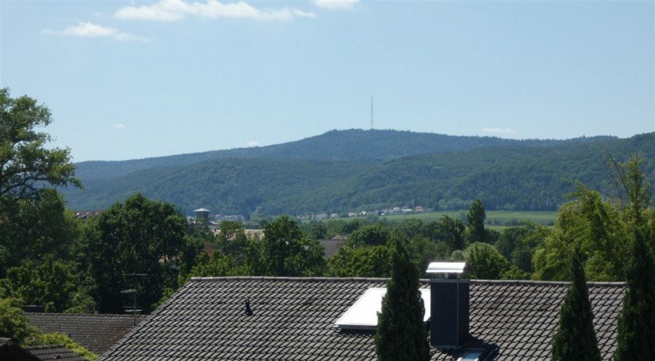 Loggiablick auf das Haardtgebirge Mehrfamilienhaus Deidesheim
