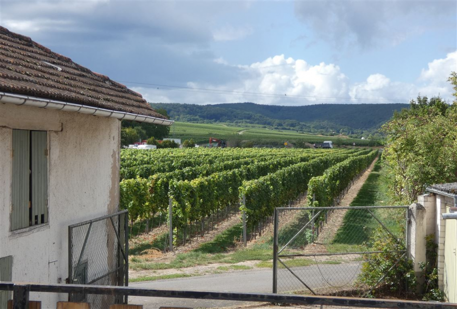 Hinterhaus zum Abriss mit Weitblick Grundst�ck Herxheim am Berg