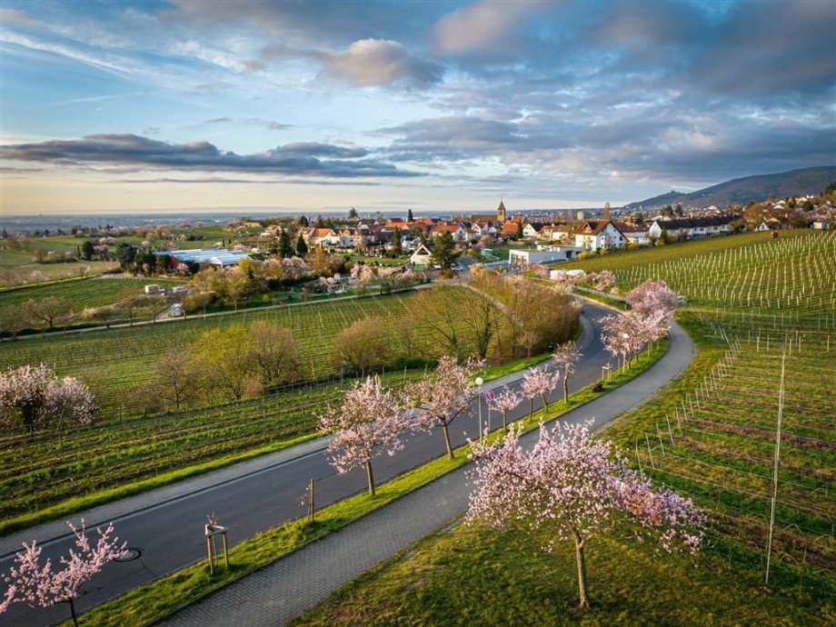 Gimmeldingen Etagenwohnung Neustadt
