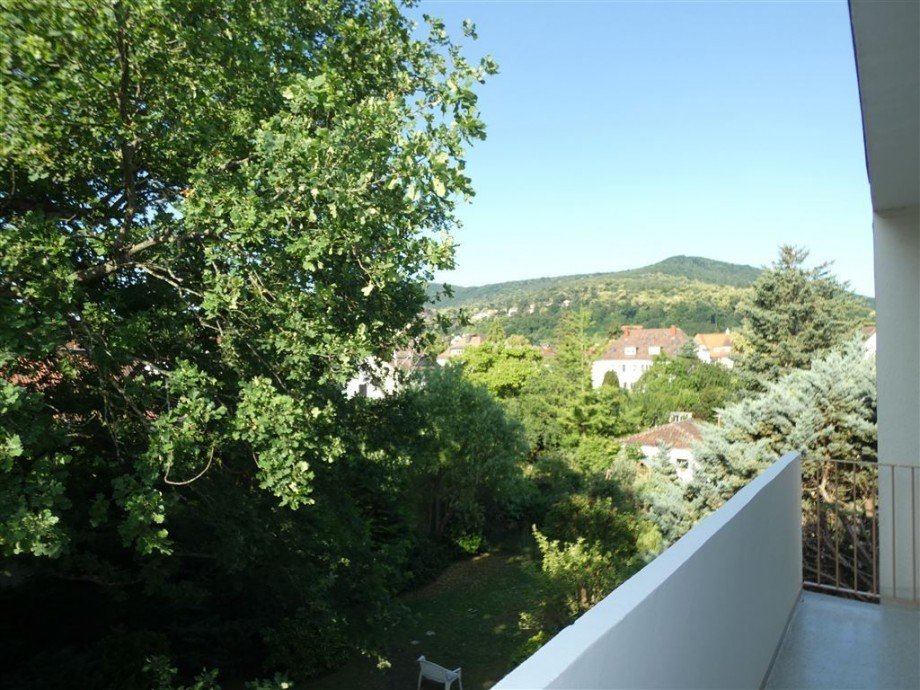 Sch�ner Weitblick auf das Haardtgebirge Etagenwohnung Neustadt