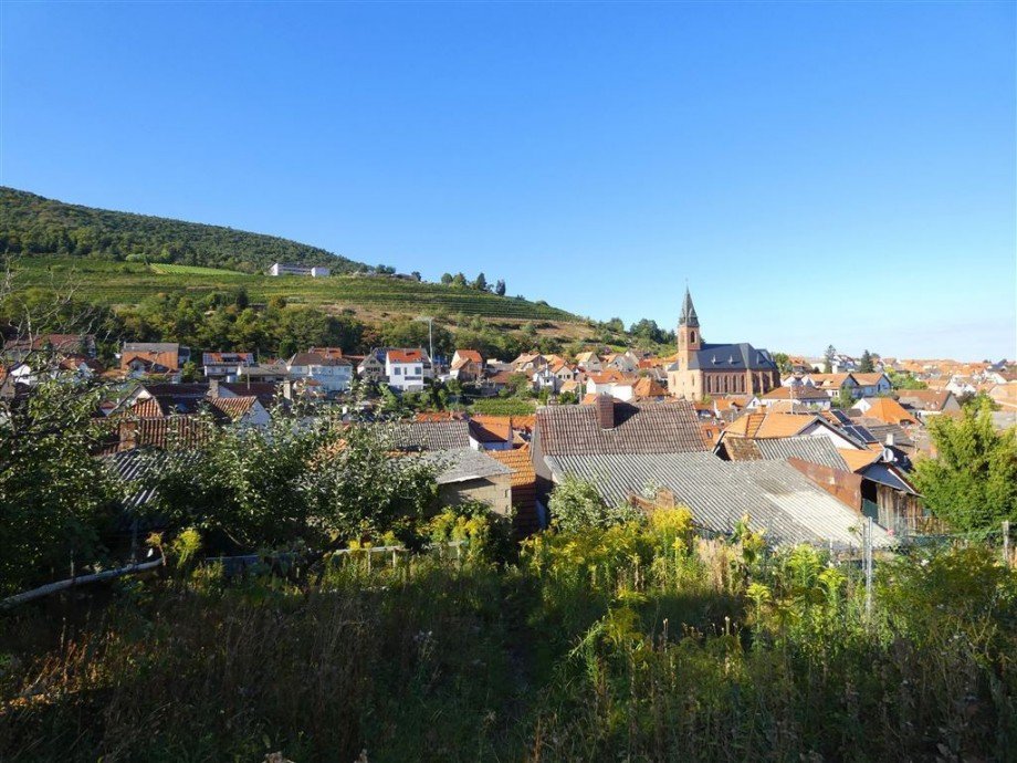 Weitblick �ber St. Martin Haus St Martin , Pfalz
