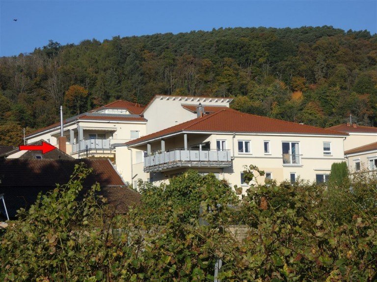 Wohnen zwischen Wald und Reben Neustadt Etagenwohnung VERMIETET - Gro�z�giges Wohnen zwischen Wald und Reben