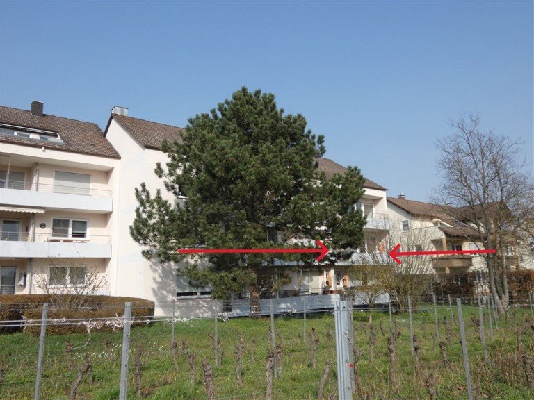 2-Zimmerwohnung im 1. OG Deidesheim Etagenwohnung Wohnen mit Blick auf die Weinberge in Deidesheim