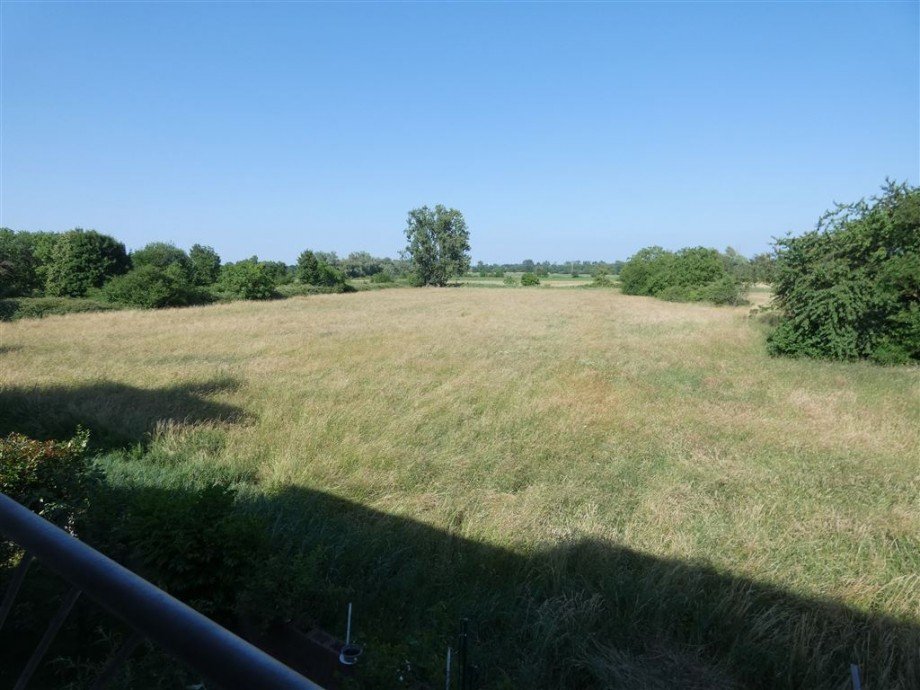 Weitblick Richtung Osten OG Doppelhaush�lfte Schifferstadt