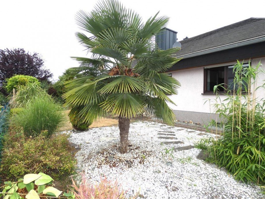 Hausansicht vom Garten Bungalow Otterstadt