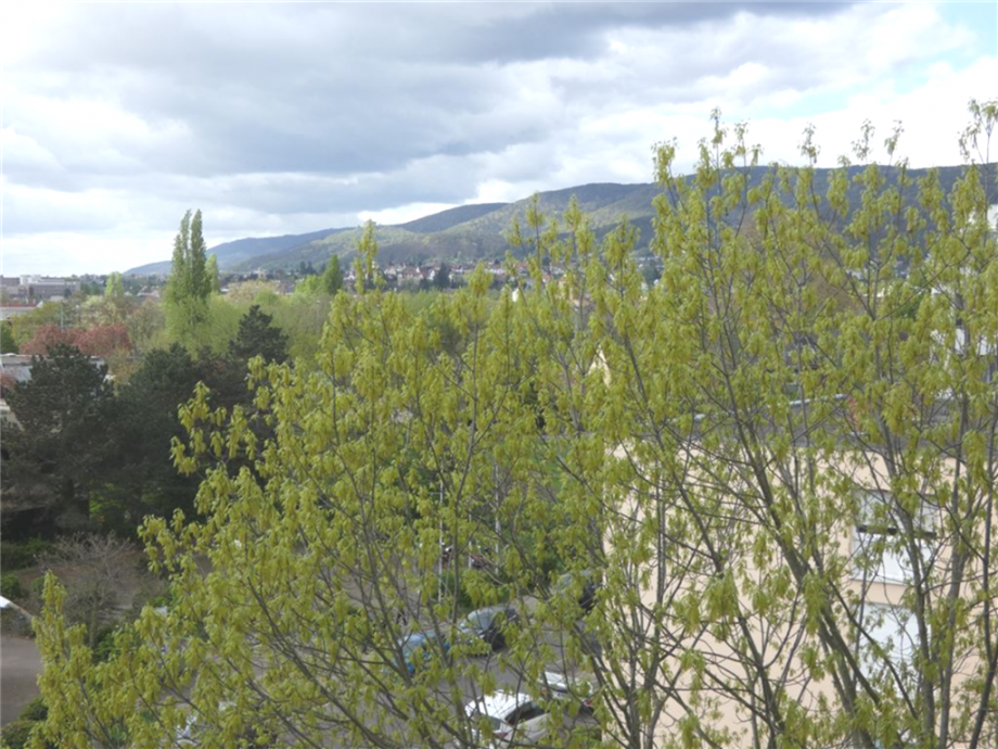 Blick auf das Haardtgebirge Etagenwohnung Neustadt an der Weinstra�e
