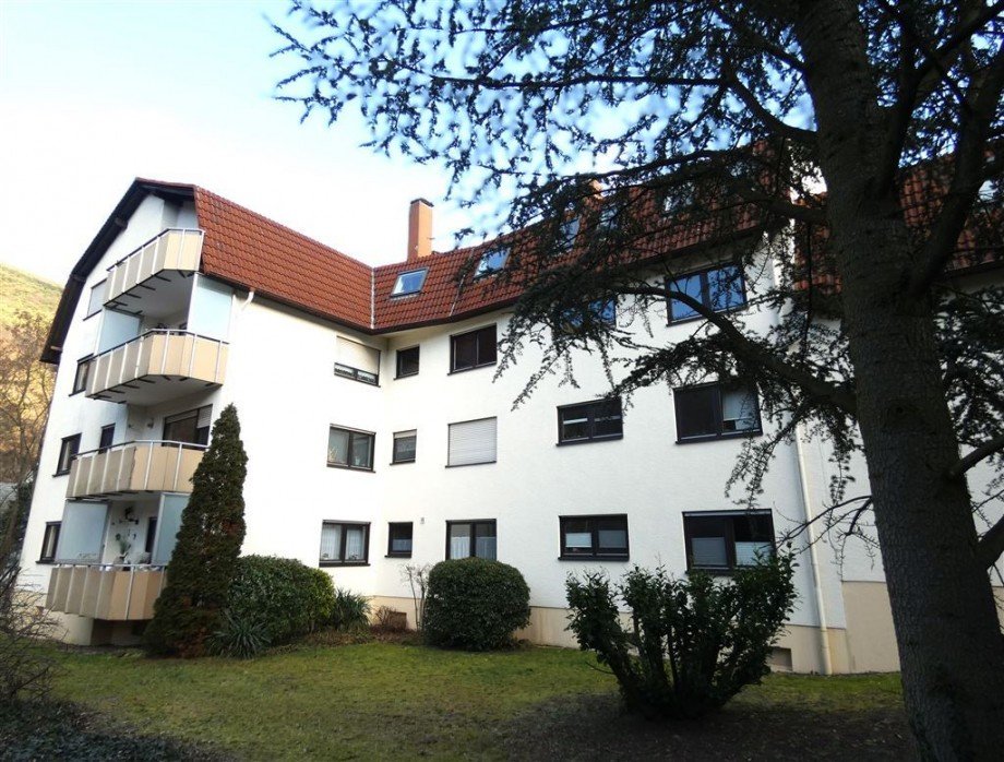 Ansicht Gartenseite - Westausrichtung Etagenwohnung Neustadt